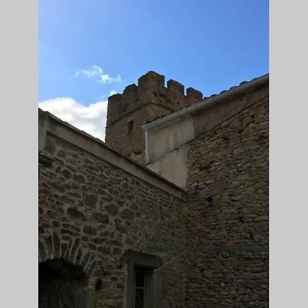 Laure-MinervoisLe Petit Ormeau Attenant A La Tour Du Portail Neufアパートメント エクステリア 写真